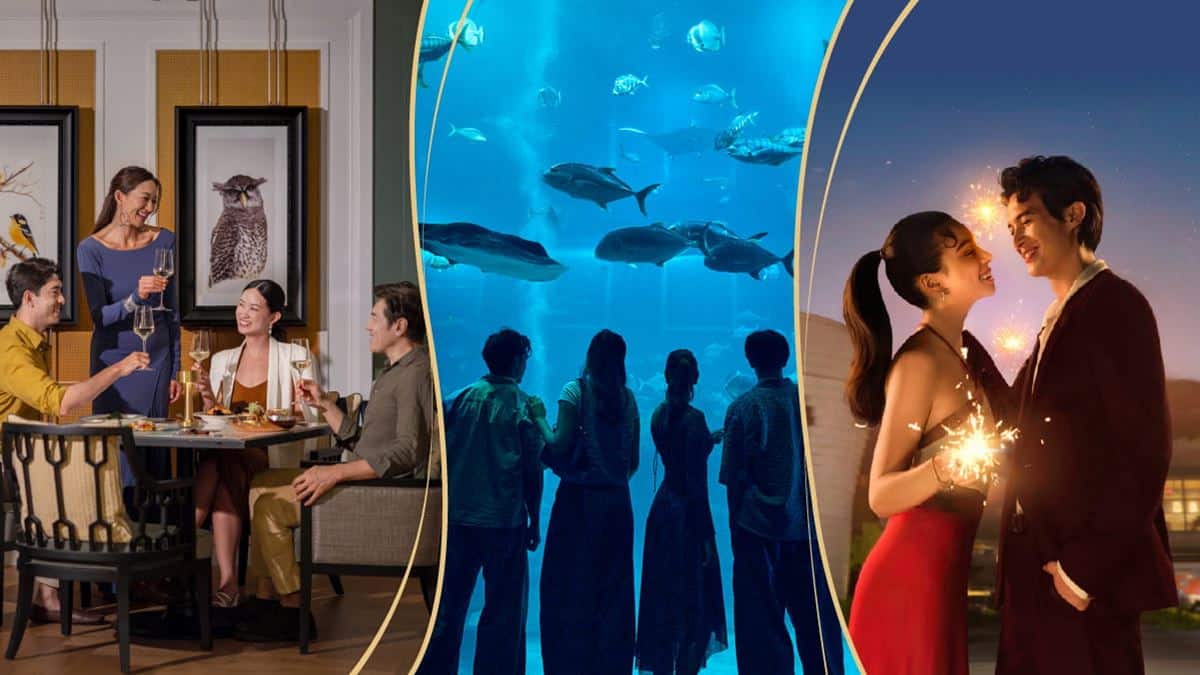 Resorts_World_Sentosa_Night_Activites