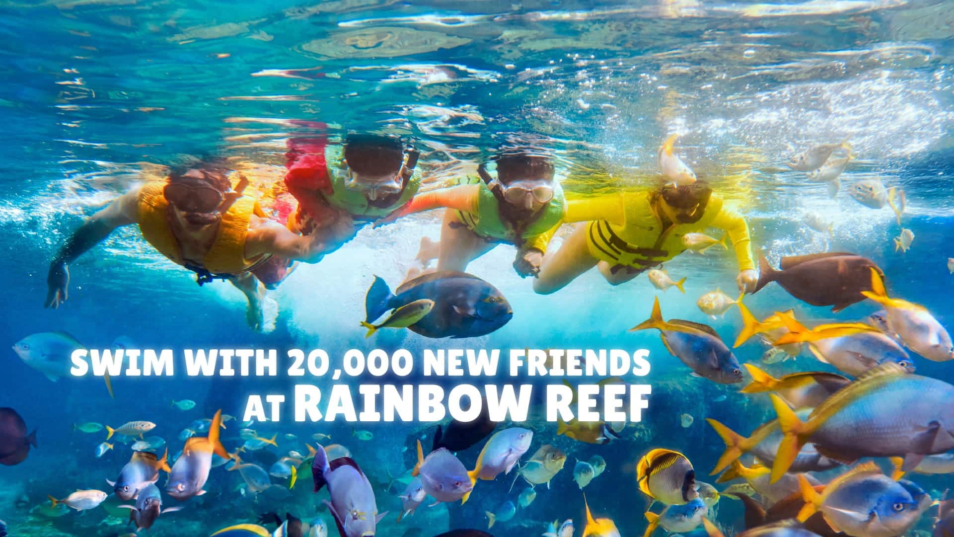 Adventure Cove Waterpark Rainbow Reef
