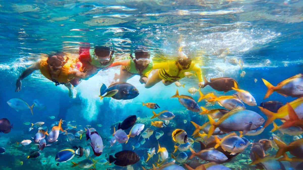Adventure-Cove-Waterpark-Rainbow-Reef-750x422