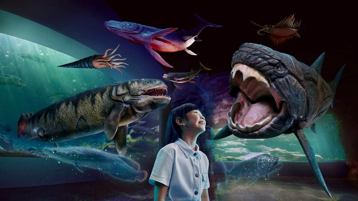 Go back in time at Singapore Oceanarium and discover how fishes came to be.