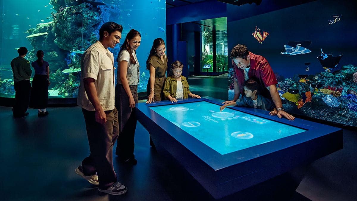 Singapore Oceanarium visitors mixing different traits to create their own digital fish, while learning how these adaptations help marine species survive in their environment. 