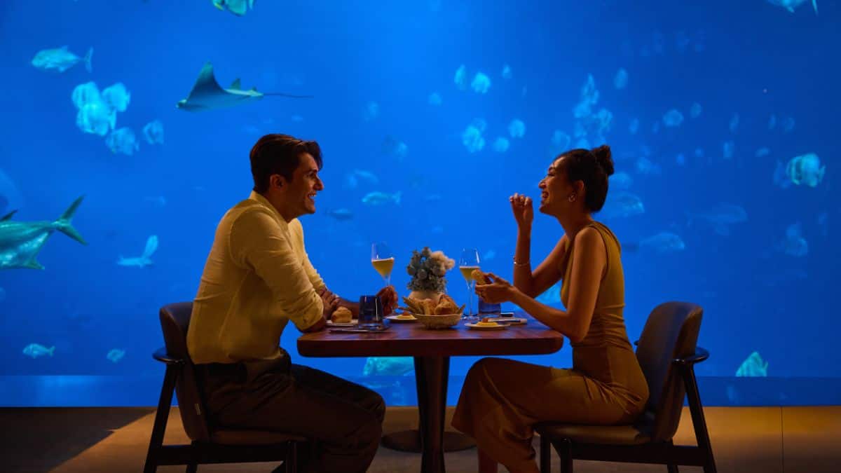 RWS-HTL-Stay-and-Dine-Ocean