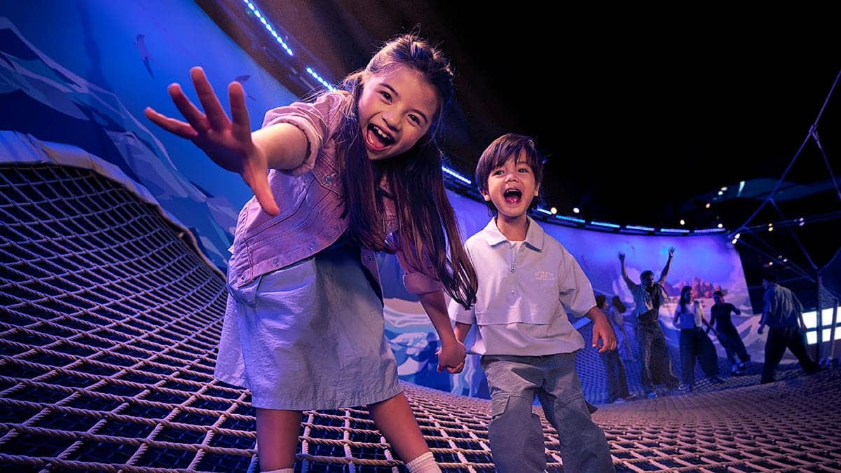 Children having fun on a suspended web balancing above the Spirit of Exploration zone